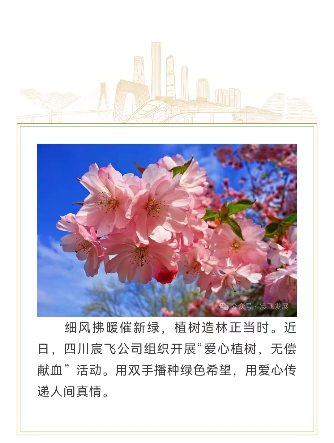 微信图片_20240411154719.jpg